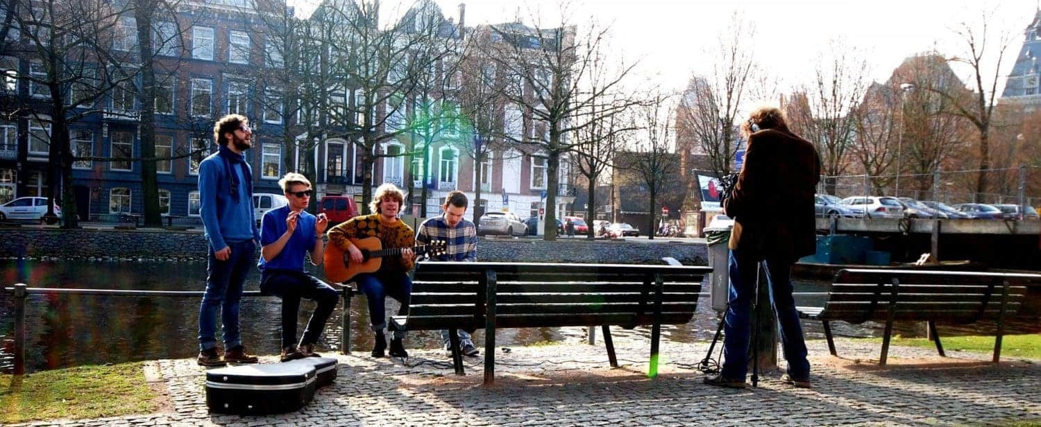 treefight for sunlight