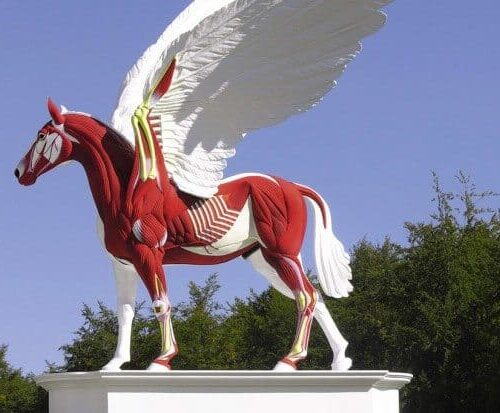 beyond limits exhibition 1 620x413