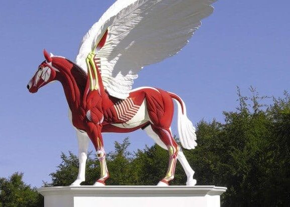 beyond limits exhibition 1 620x413