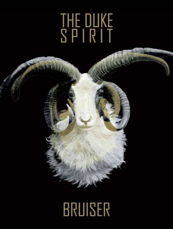 duke spirit bruiser artwork