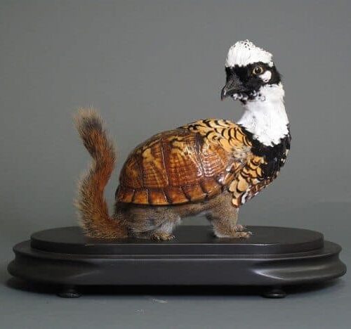 enrique gomez de molina taxidermy hybrids 2 600x468
