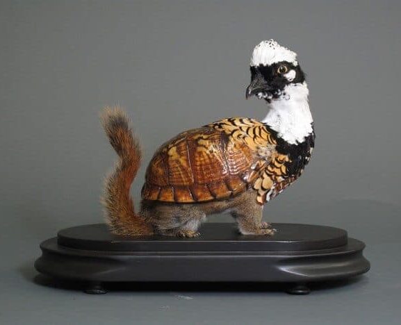 enrique gomez de molina taxidermy hybrids 2 600x468