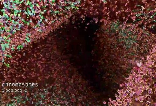 bjork hollow video 608x342