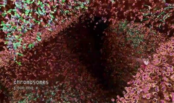 bjork hollow video 608x342