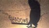 shadows