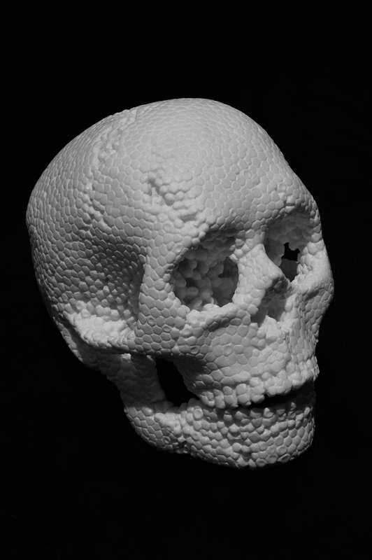 fabioviale skull