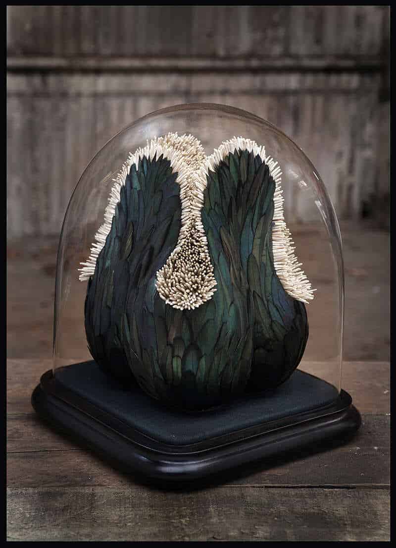 Sculpturen van veren door Kate MccGwire