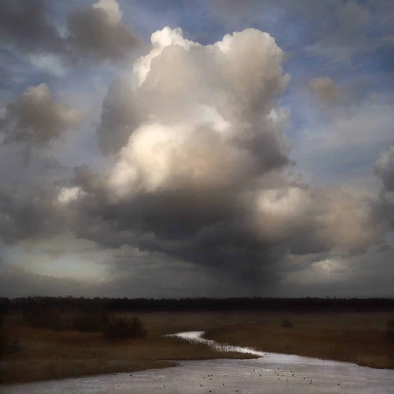 Saskia Boelsums - Landscapes