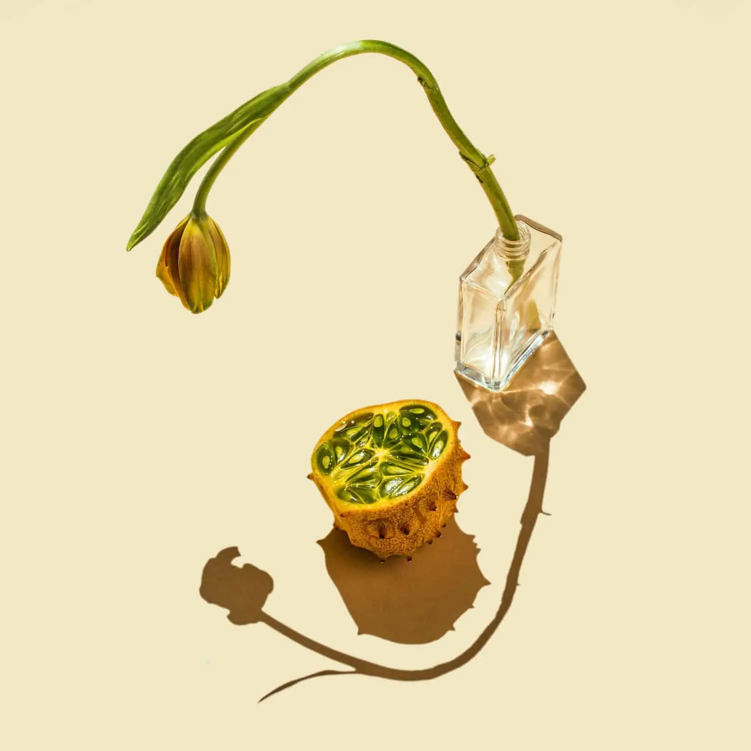 Kijk naar de schaduw