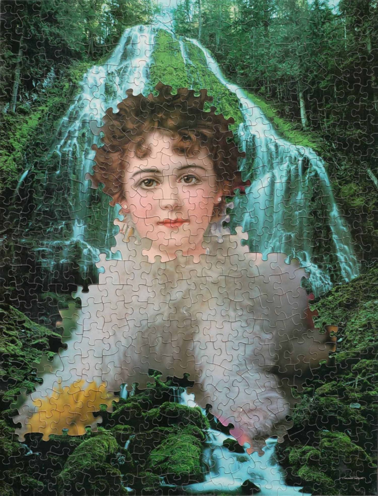 meerdere legpuzzels door elkaar