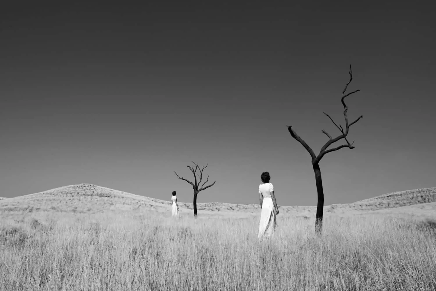 Astrid Verhoef - Eduard Planting