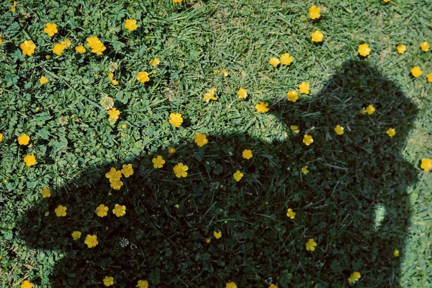 kleurenfoto van Vivian Maier
