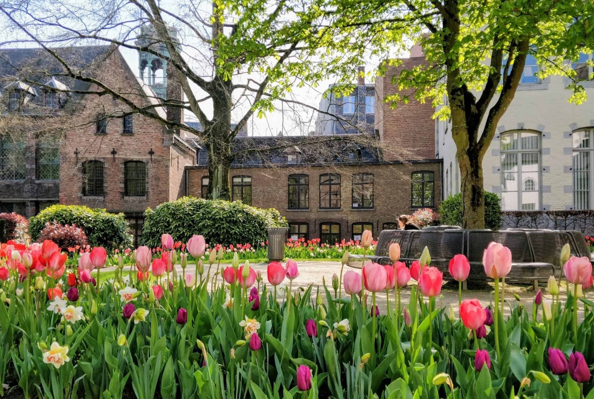 Op stap in de Belgische stad Mons 40 Mons - Bergen