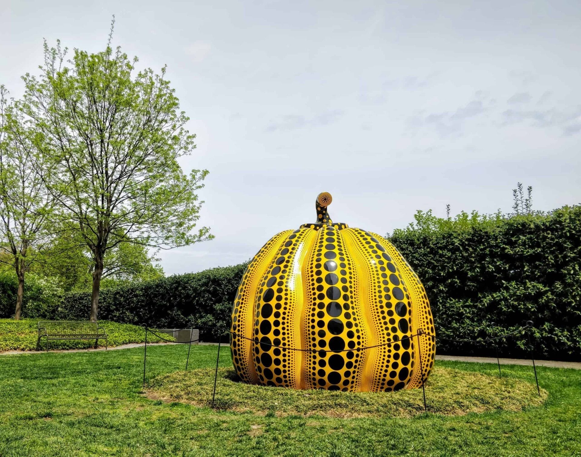 Stedentrip naar Washington DC 49 Washington DC