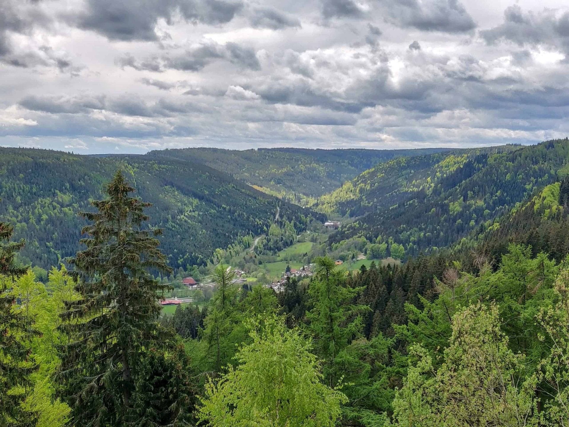 Uitzicht vanaf het Baumwipfelpfad