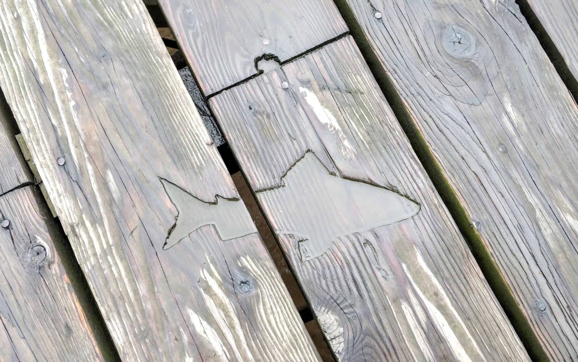 Visit Hull and East Yorkshire