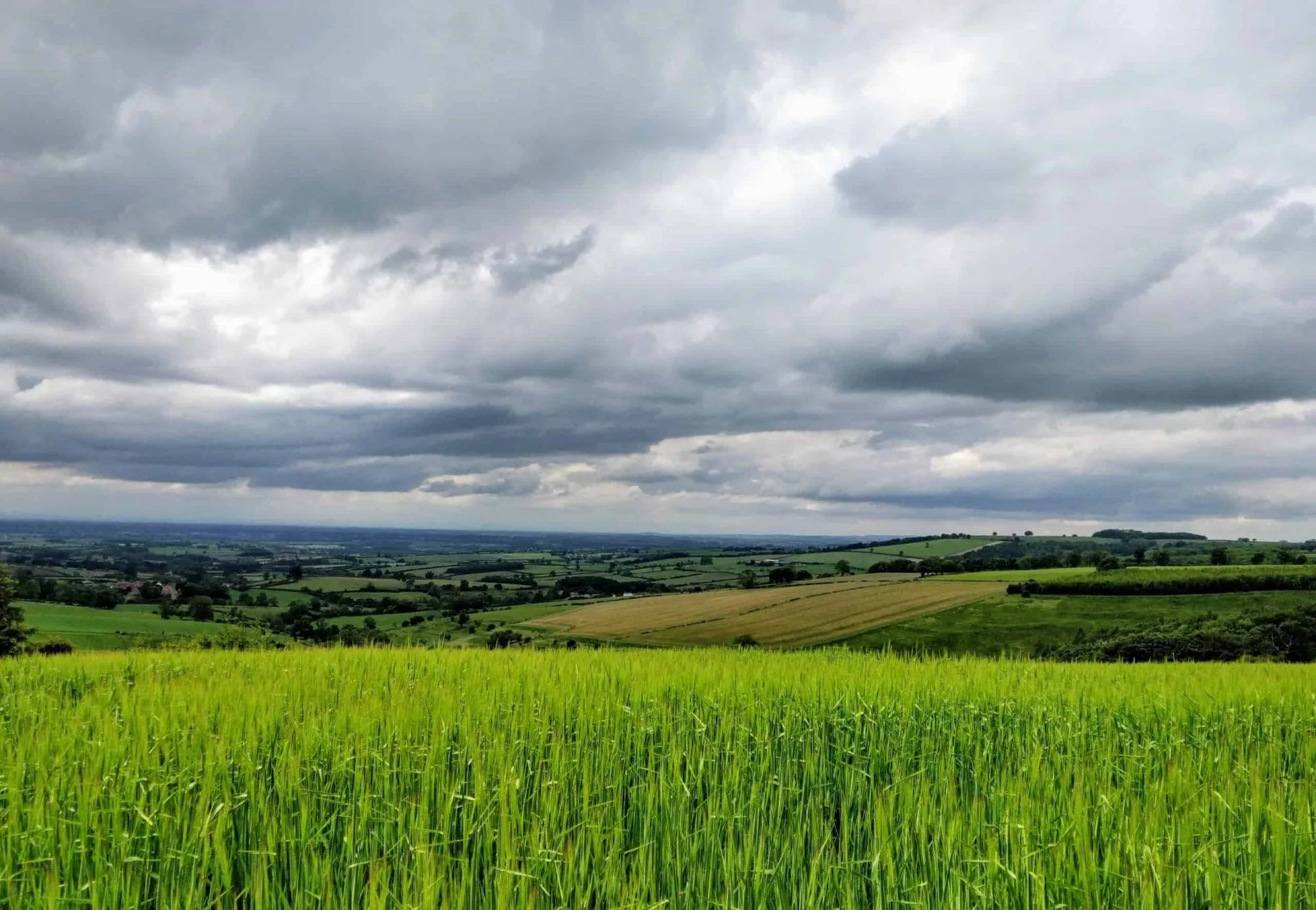 Visit Hull and East Yorkshire