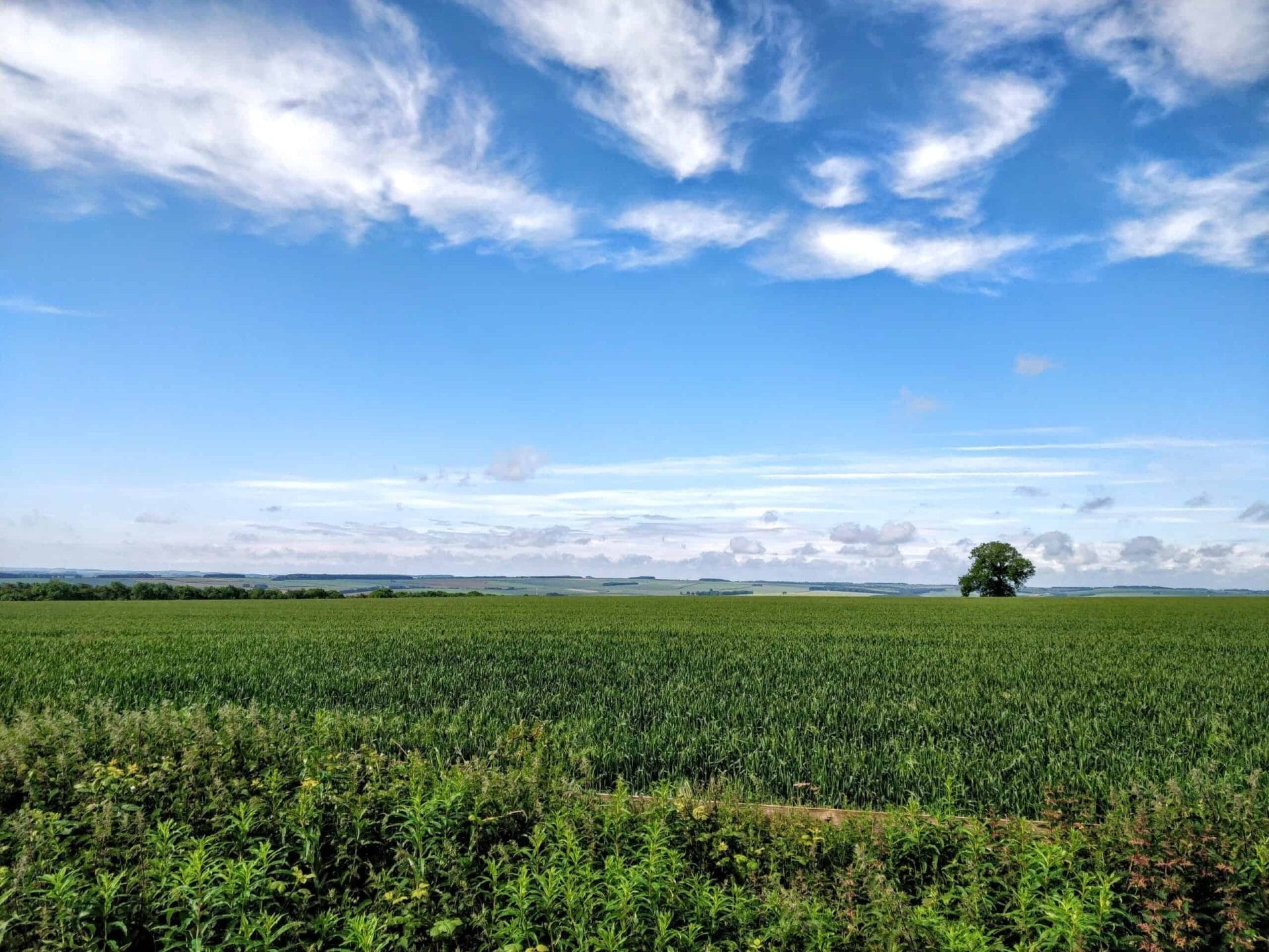 Visit Hull and East Yorkshire