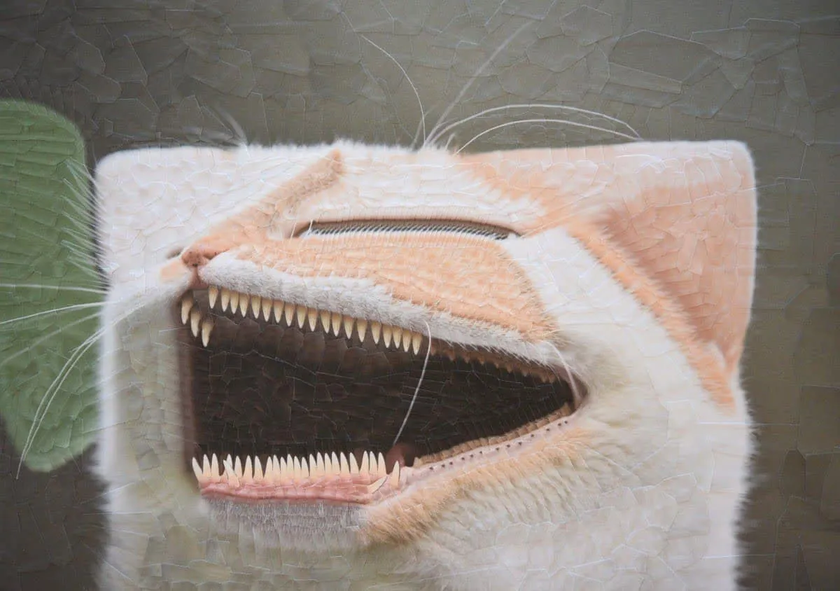 Bizarre collage van Lola Dupre