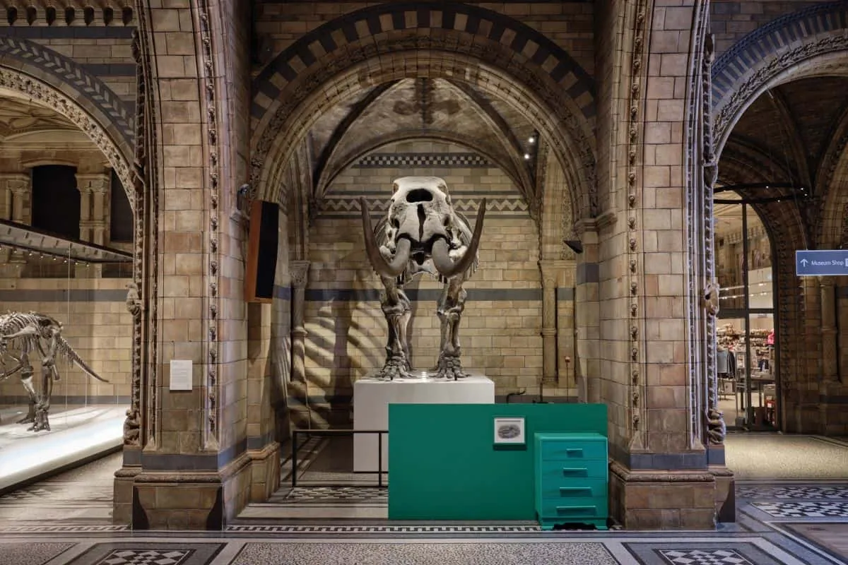 Farrow and Ball - Colour by Nature