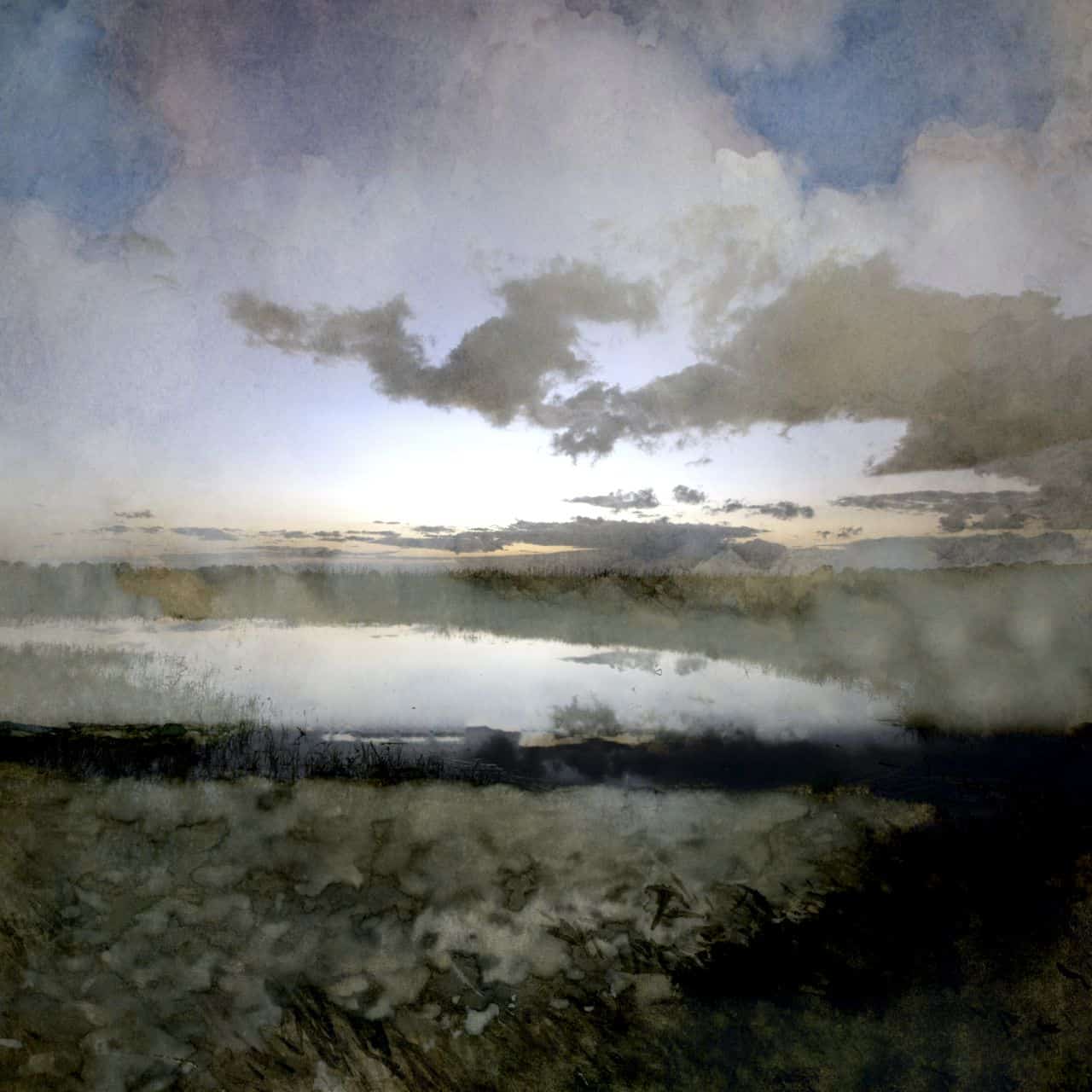 Saskia Boelsums - Landscapes