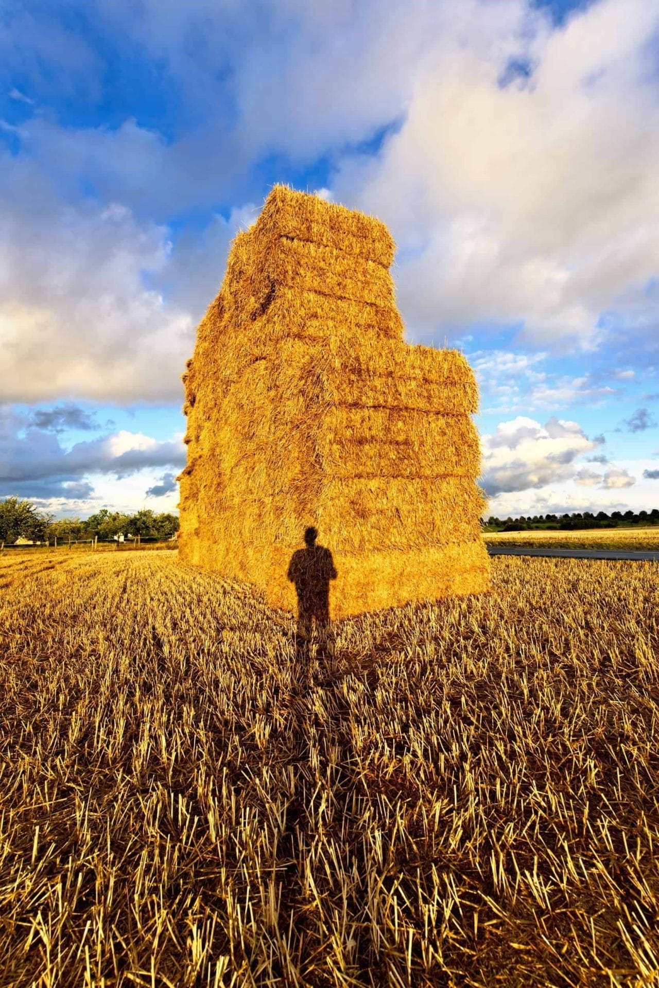 Teo Krijgsman Hotel Arena