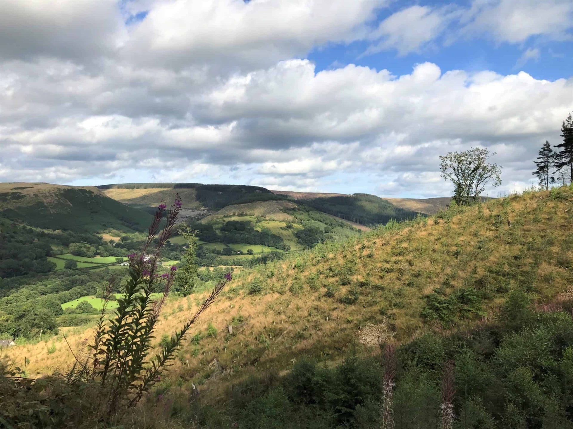 Wales roadtrip Sunny Cars