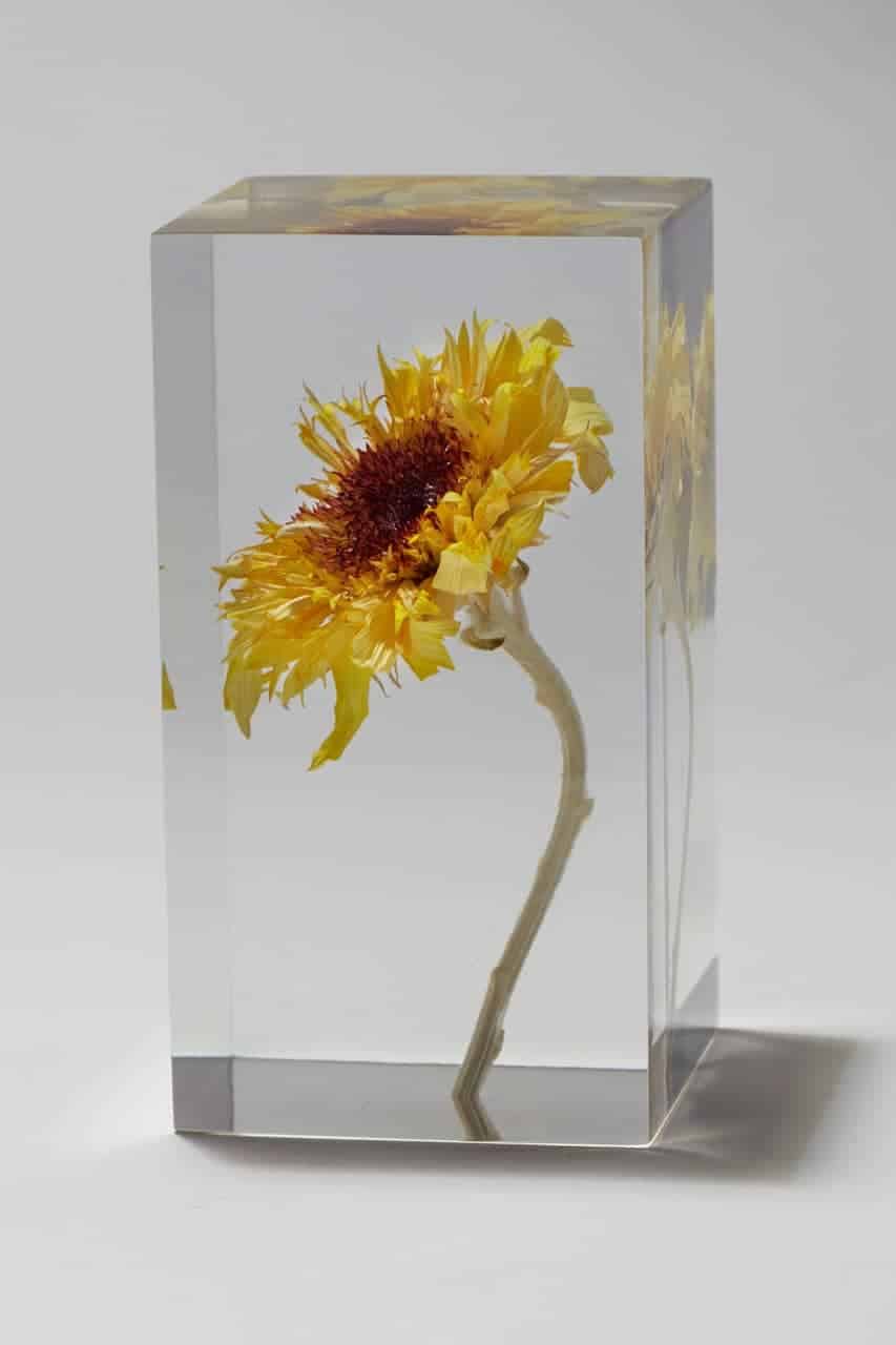 Op Van Gogh geïnspireerde zonnebloem in acryl van kunstenaar Takao Inoue