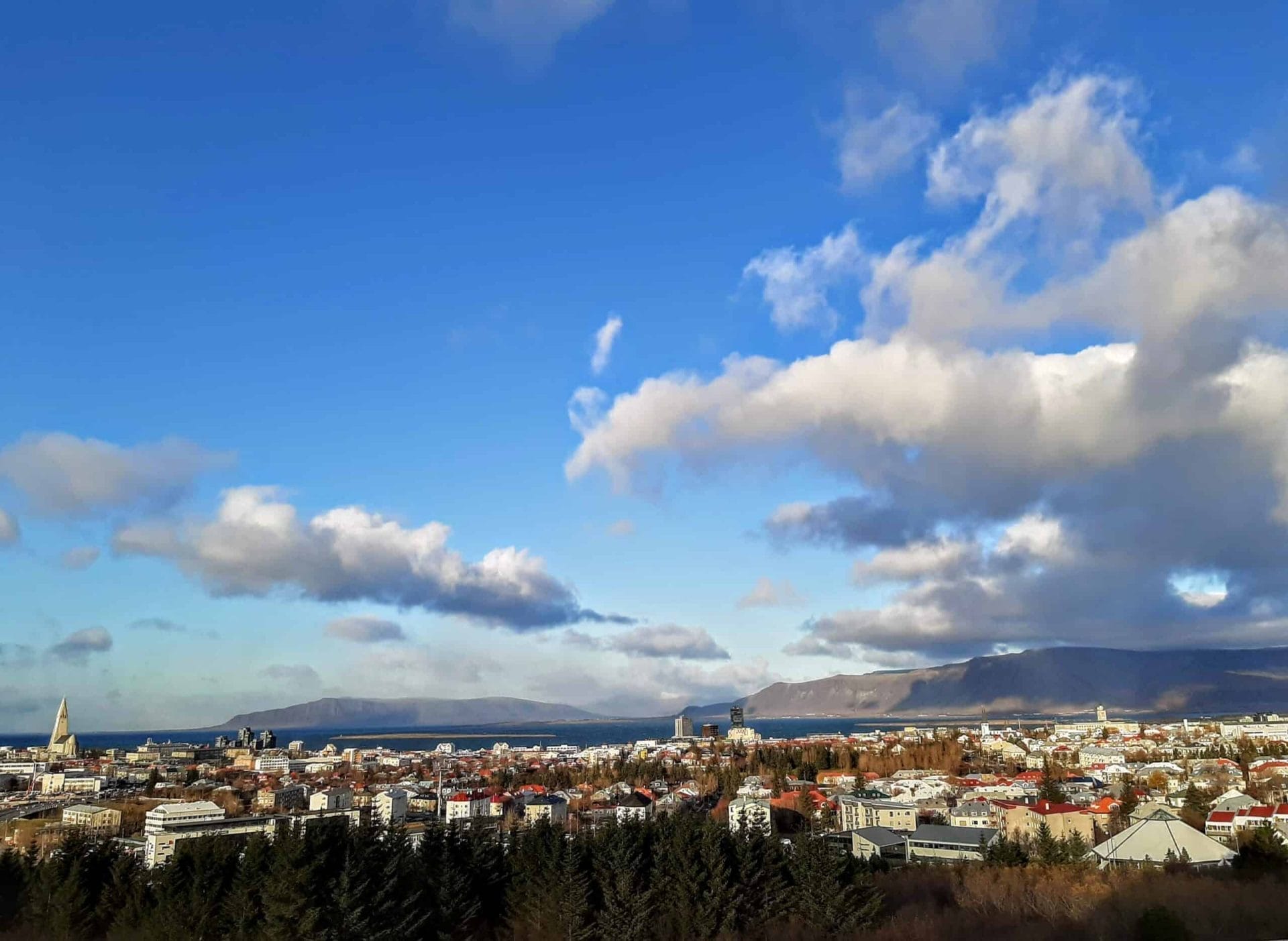 Reykjavik Mixedgrill