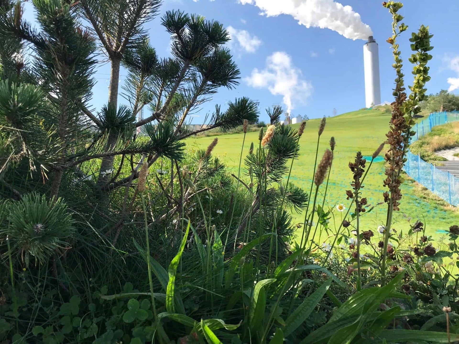 CopenHill is een centrale met skibaan op het dak 42 CopenHill in Kopenhagen