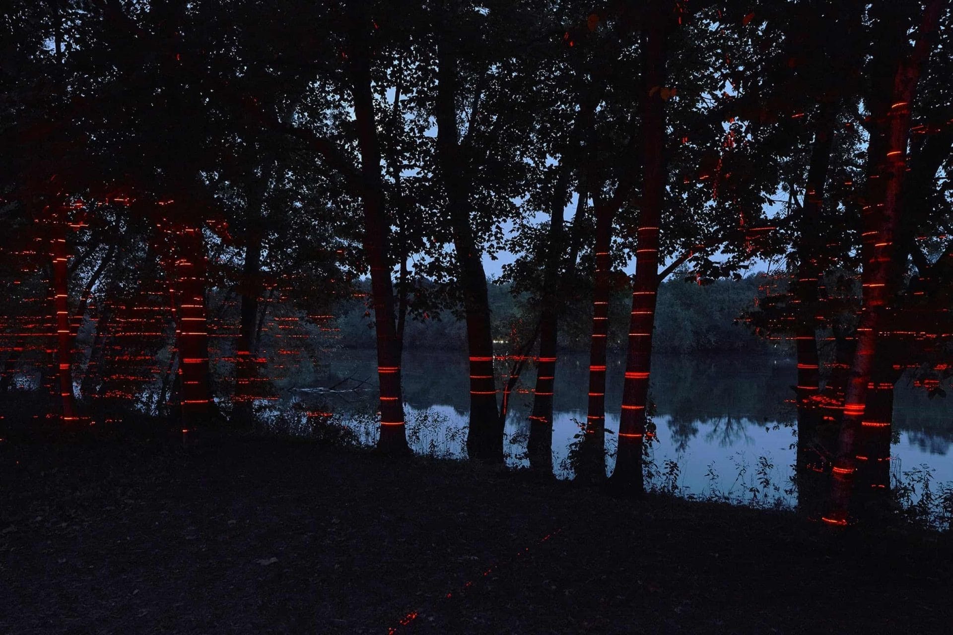 Rode lasers in het Farnsworth House van Mies van der Rohe 44 Geometry of Light