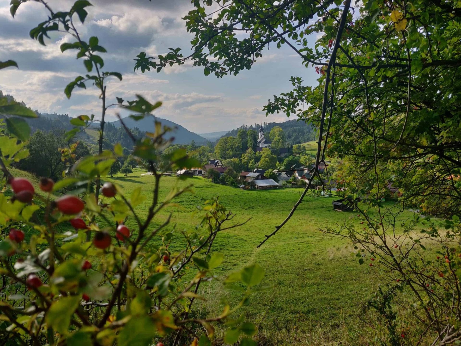 Op reis in het ongerepte Klein-Polen 47 Mixed Grill in Malopolskie