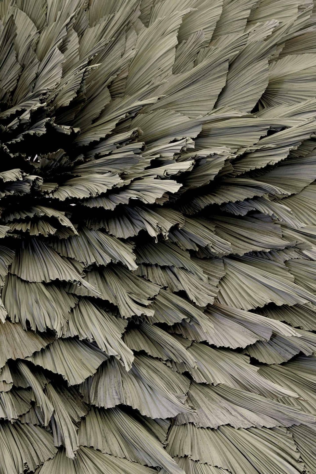 Proximity door Loose Leaf