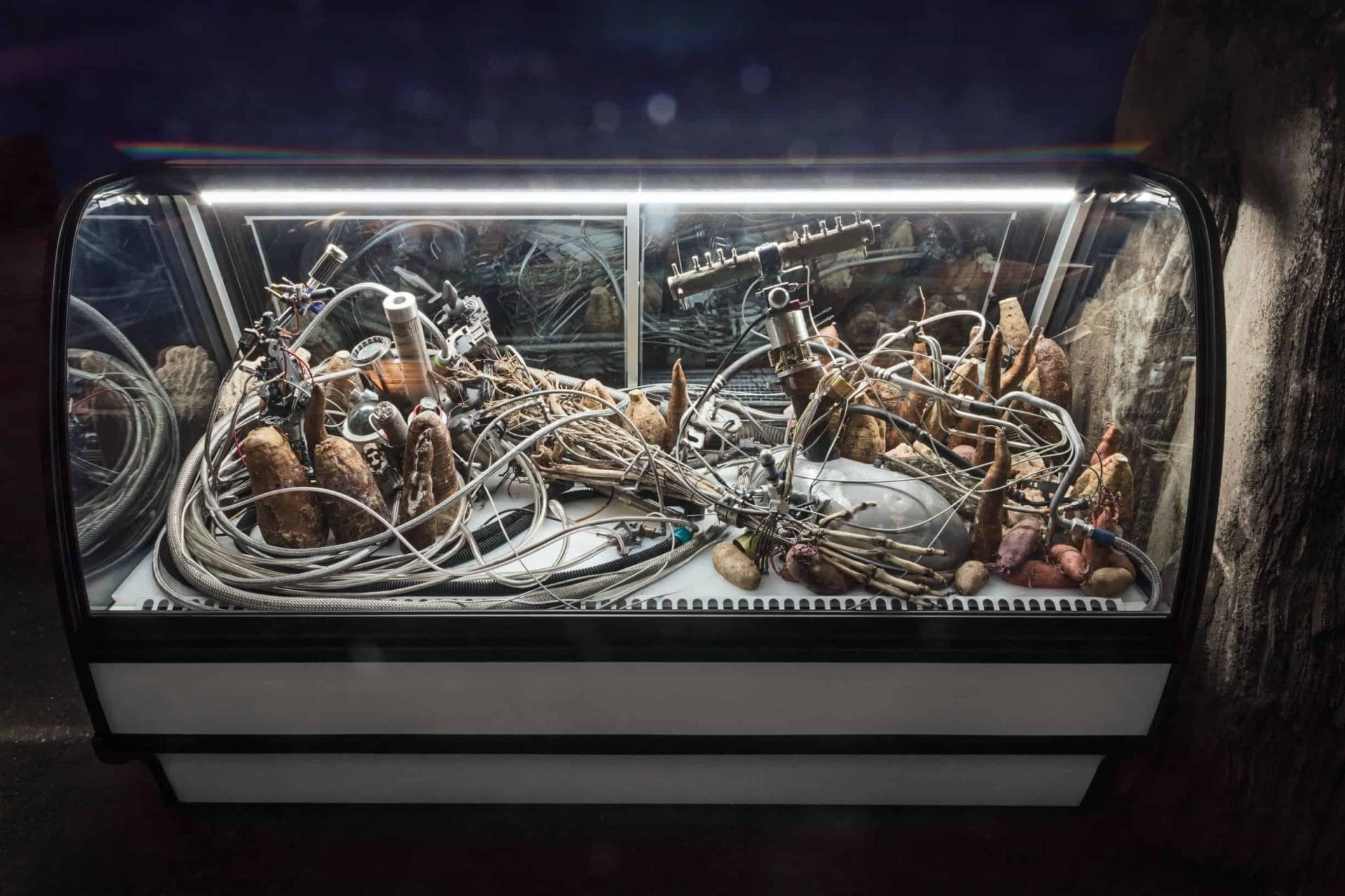 Adrián Villar Rojas