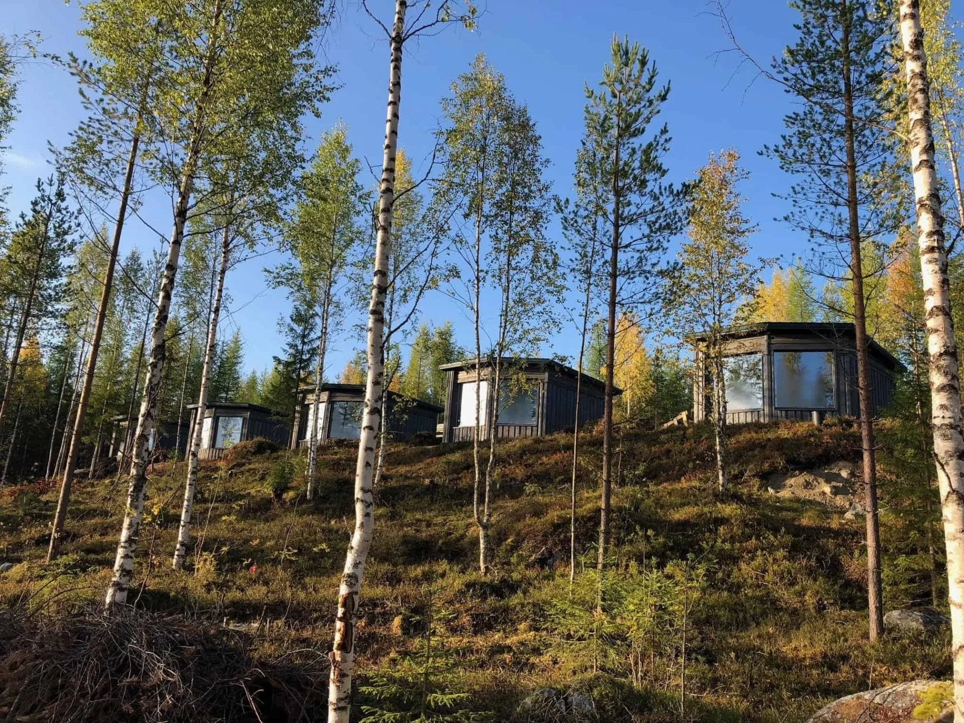 Finland biedt de mooiste overnachtingen 42 Wild Taiga Finland