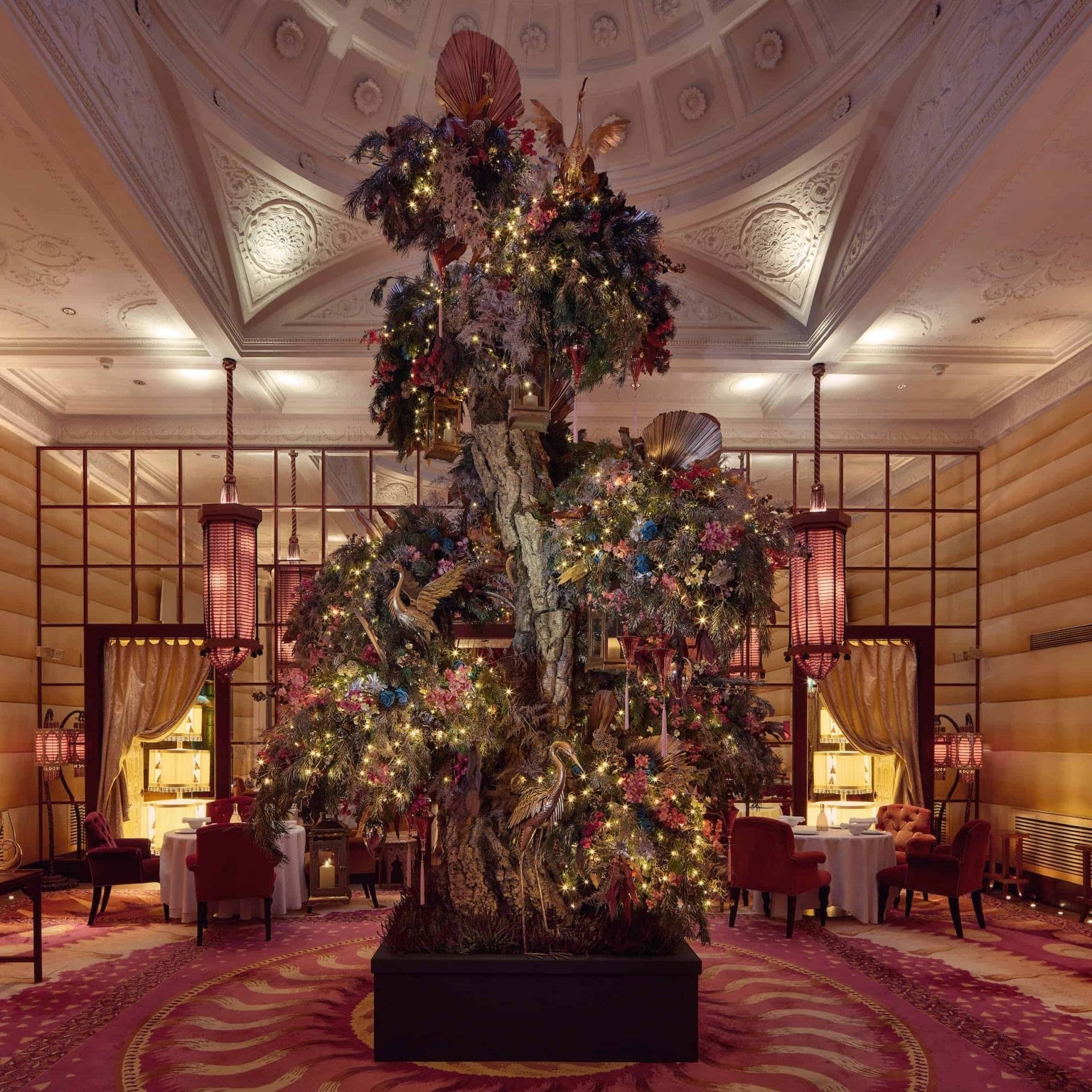 Bijzondere kerstboom