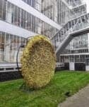 Art Rotterdam - Nest galerie