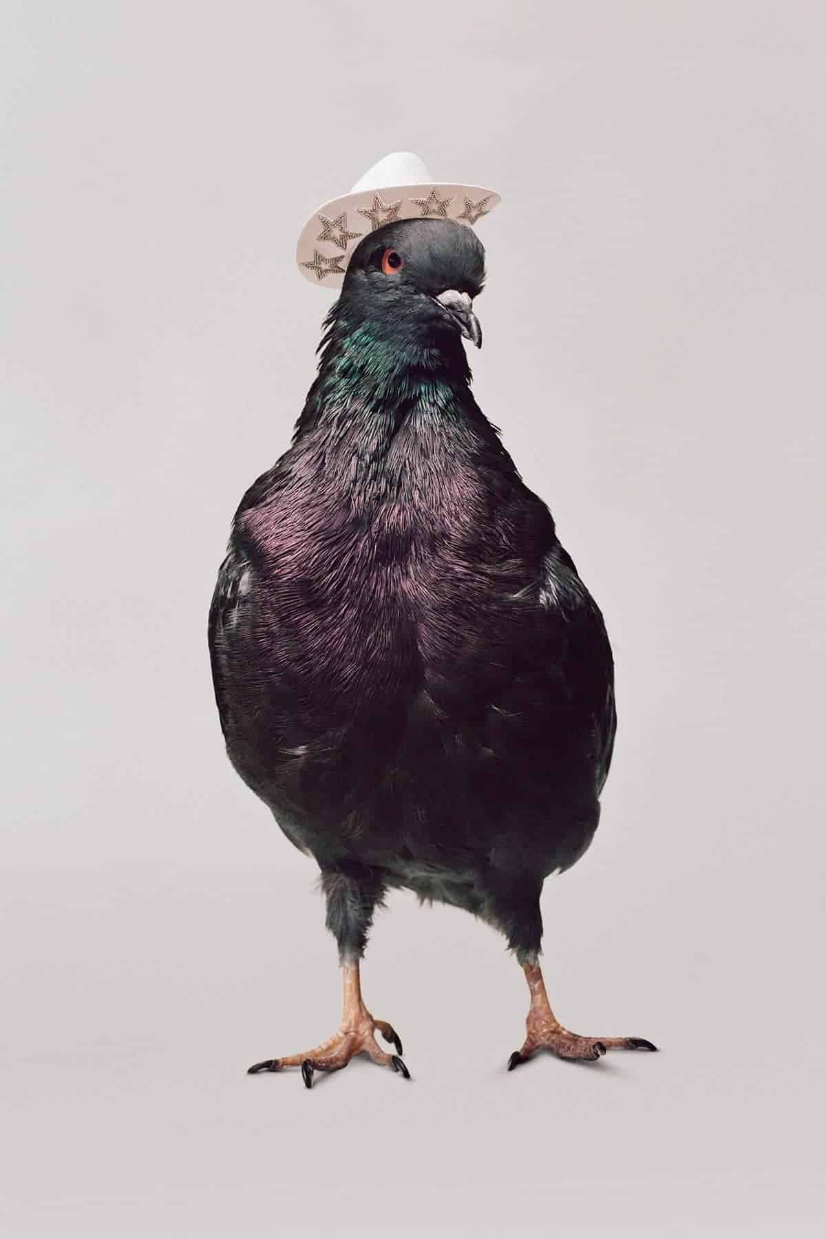 Maurizio Cattelan fotografeert Kendall Jenner