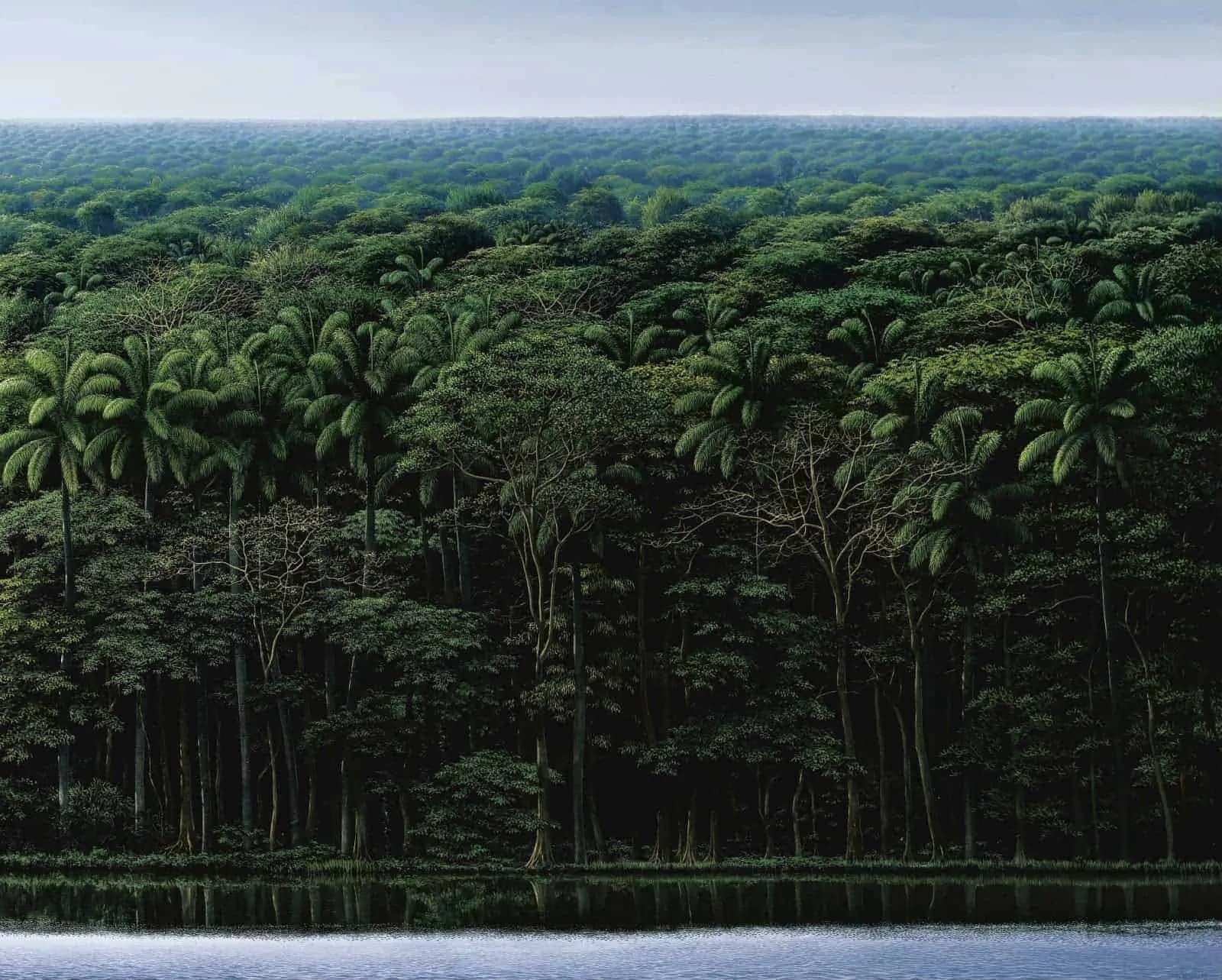 Orilla y cielo gris (1995) Alle afbeeldingen © Tomás Sánchez