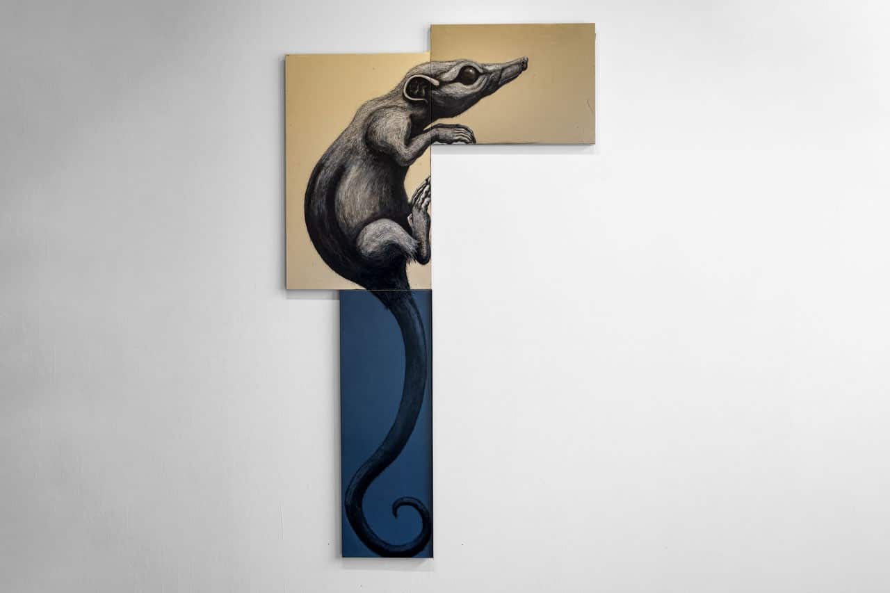 ROA schildert bedreigde Australische diersoorten