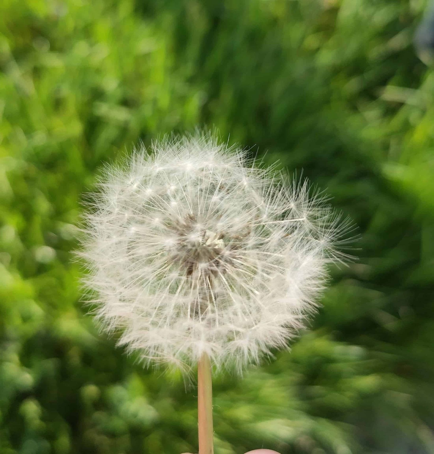 Review: Oppo Find X2 Pro