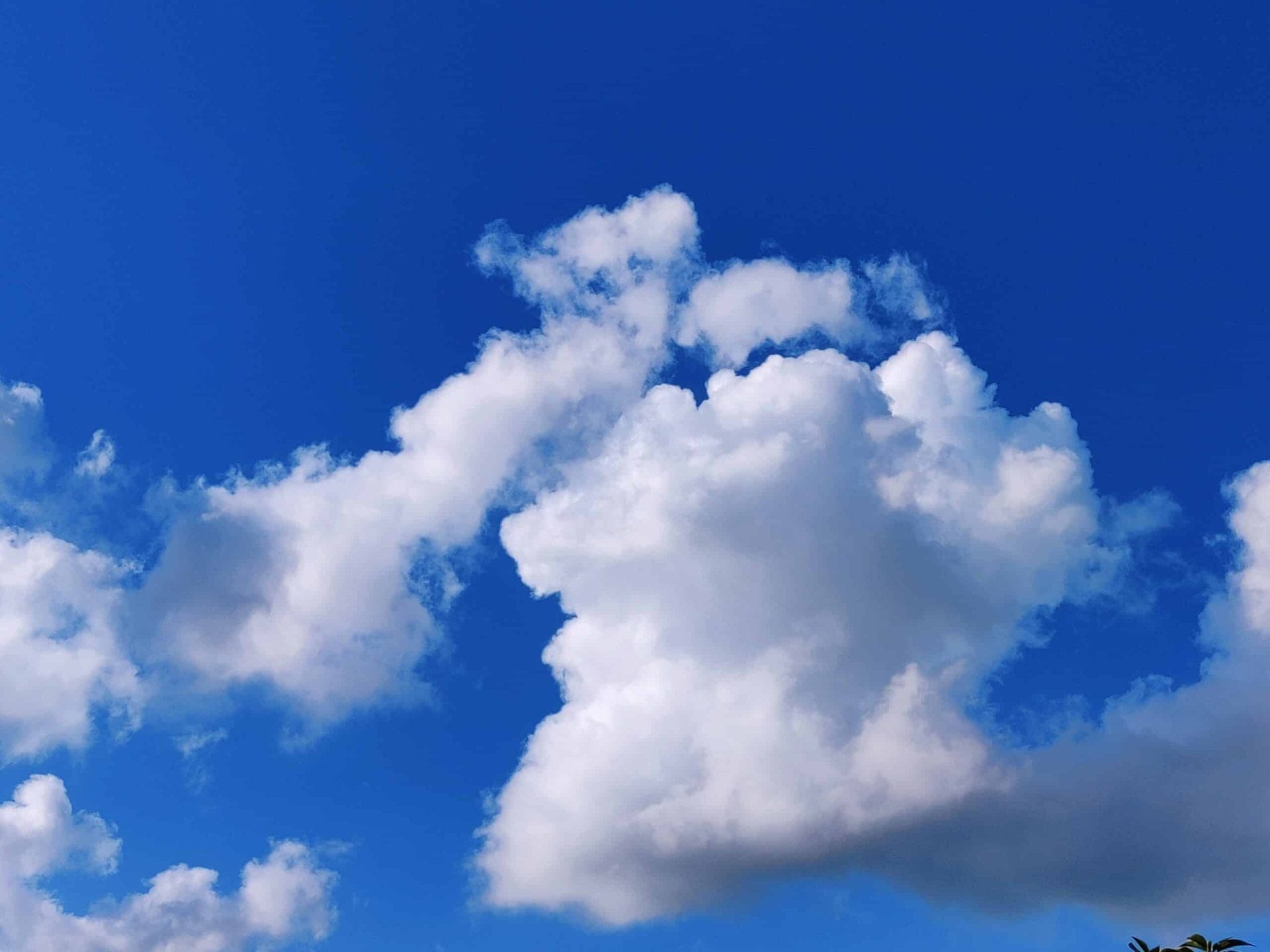 oneplus nord 2 scaled scaled