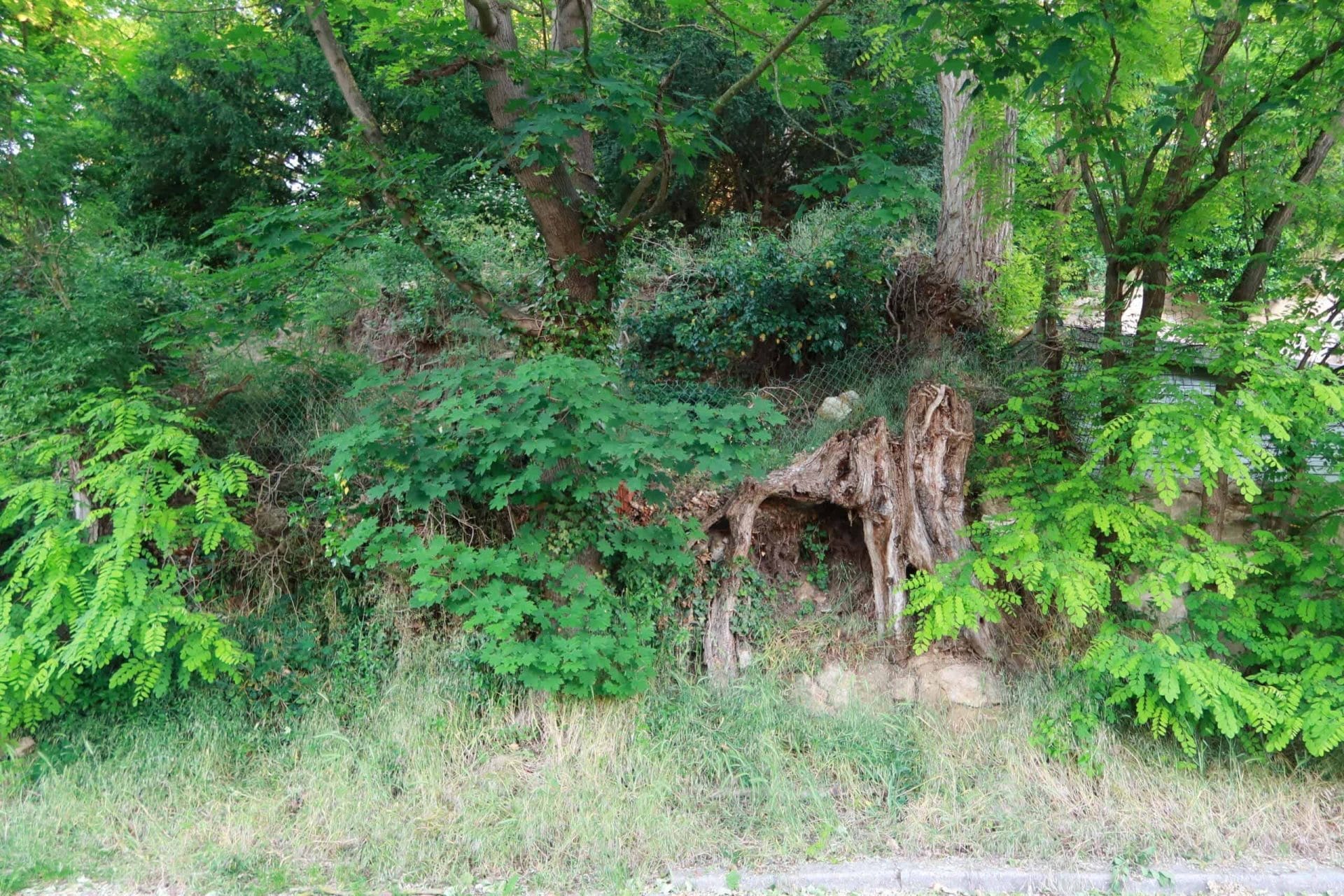 De staat van de heuvelrand in Auvers-sur-Oise op 15 mei 2020, ©arthénon