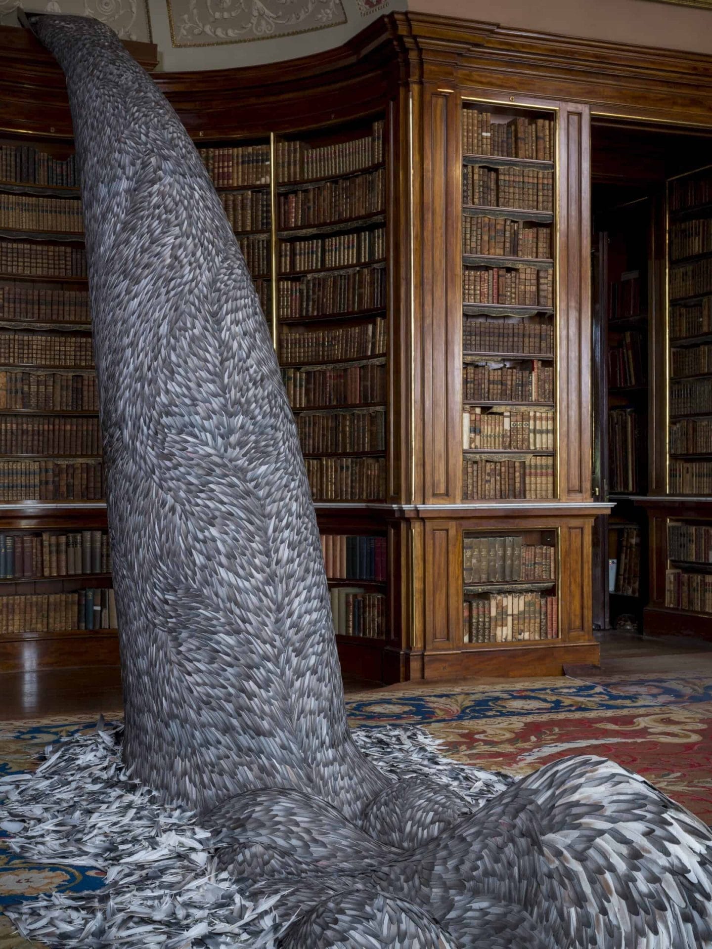 Installatie van Kate MccGwire