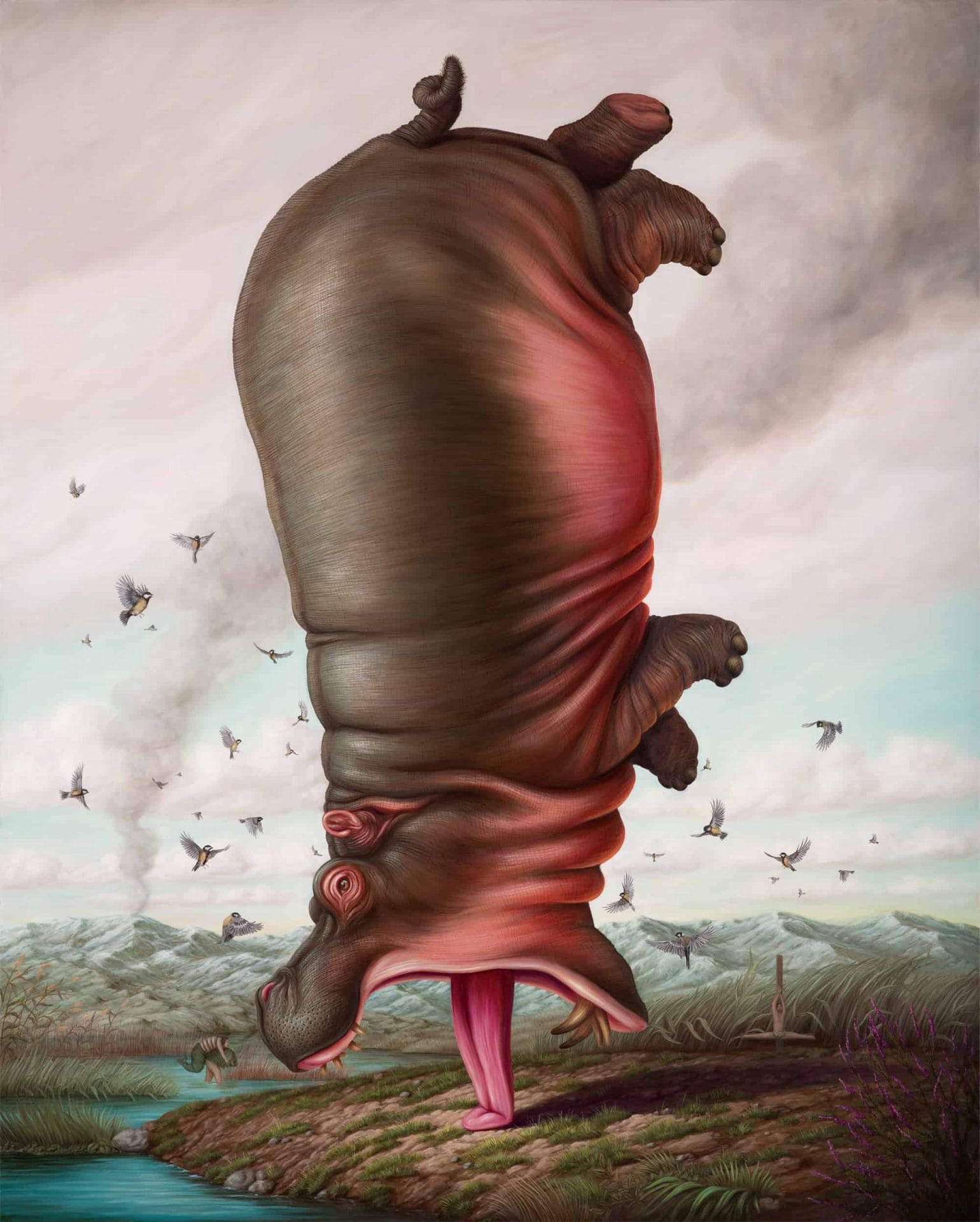 Dieren in absurde poses door Bruno Pontiroli