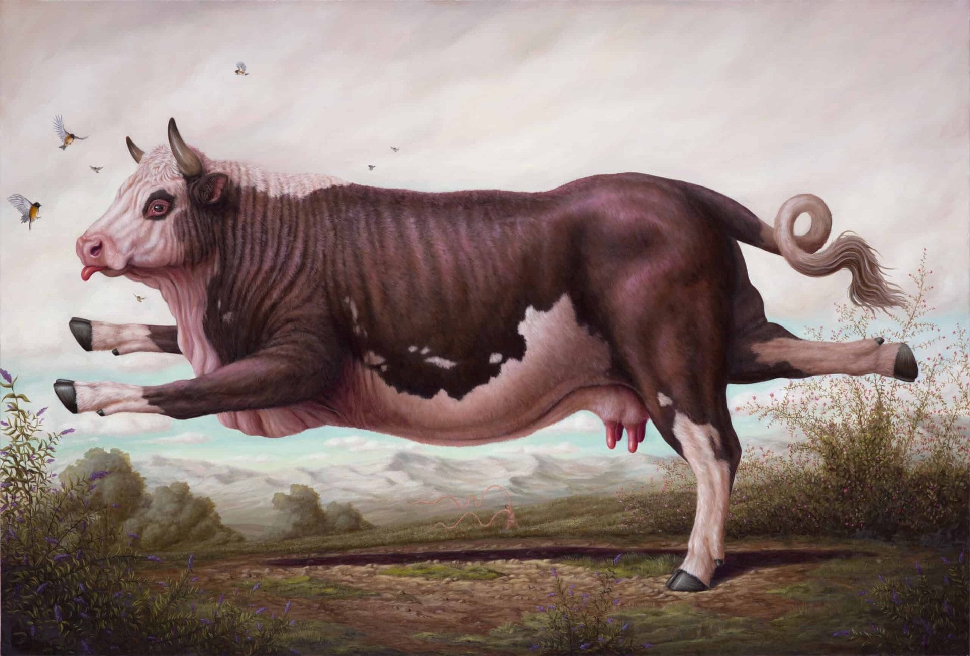 Dieren in absurde poses door Bruno Pontiroli