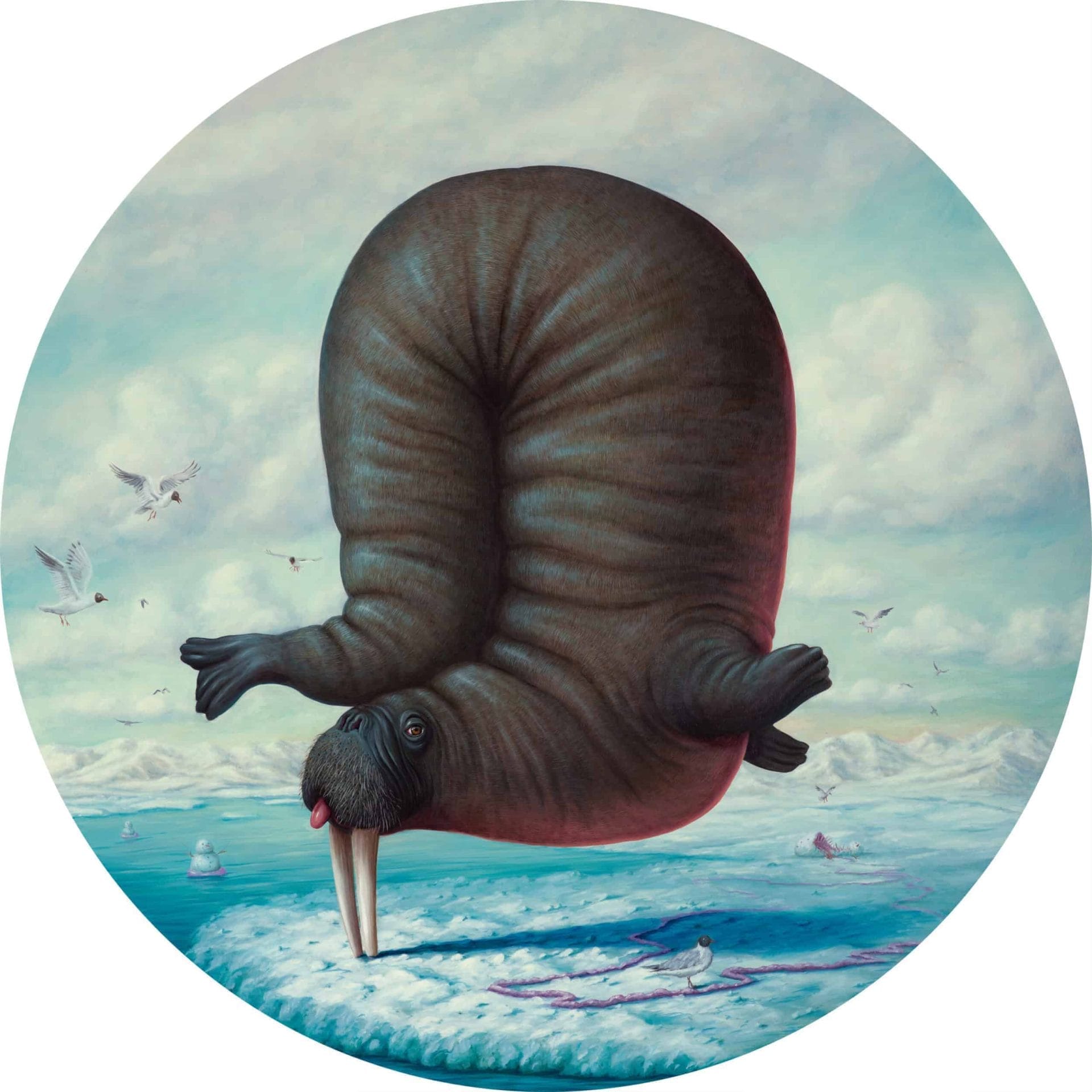 Dieren in absurde poses door Bruno Pontiroli