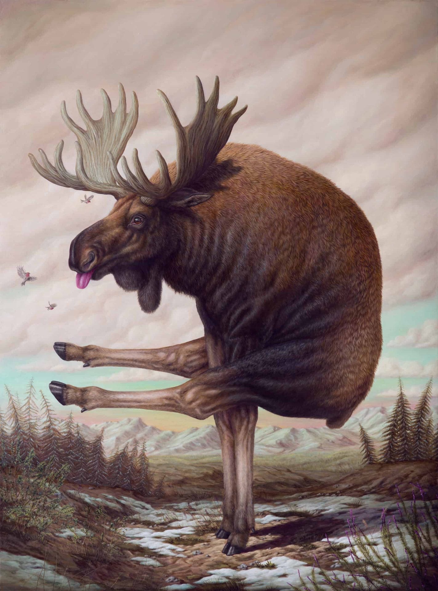 Dieren in absurde poses door Bruno Pontiroli