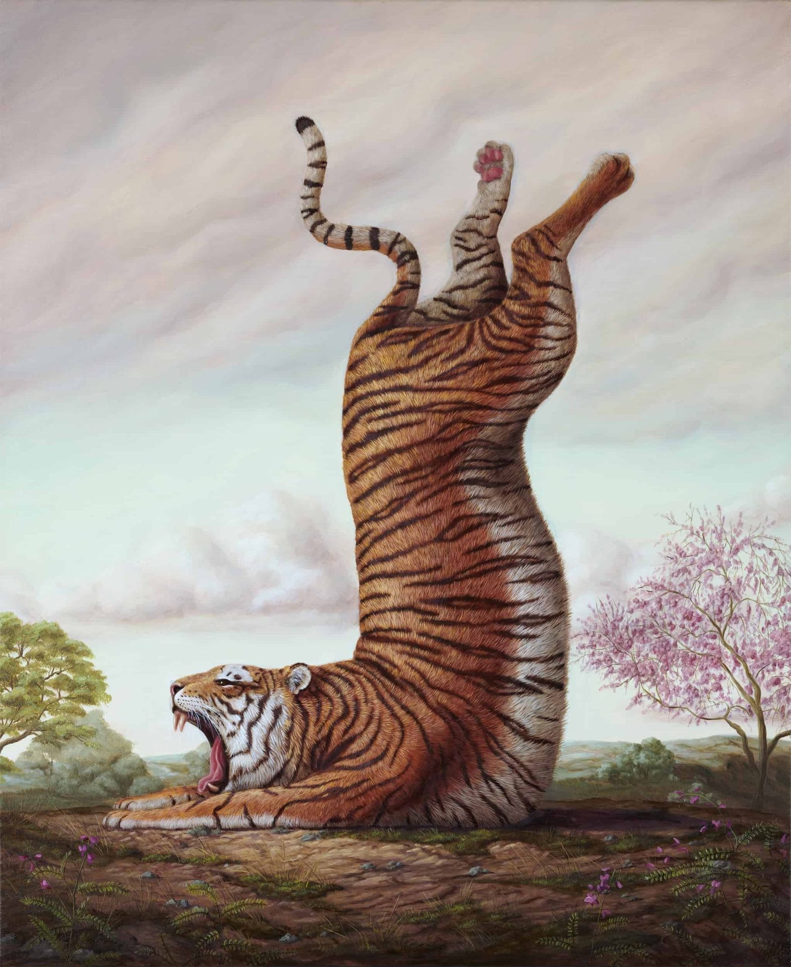 Dieren in absurde poses door Bruno Pontiroli