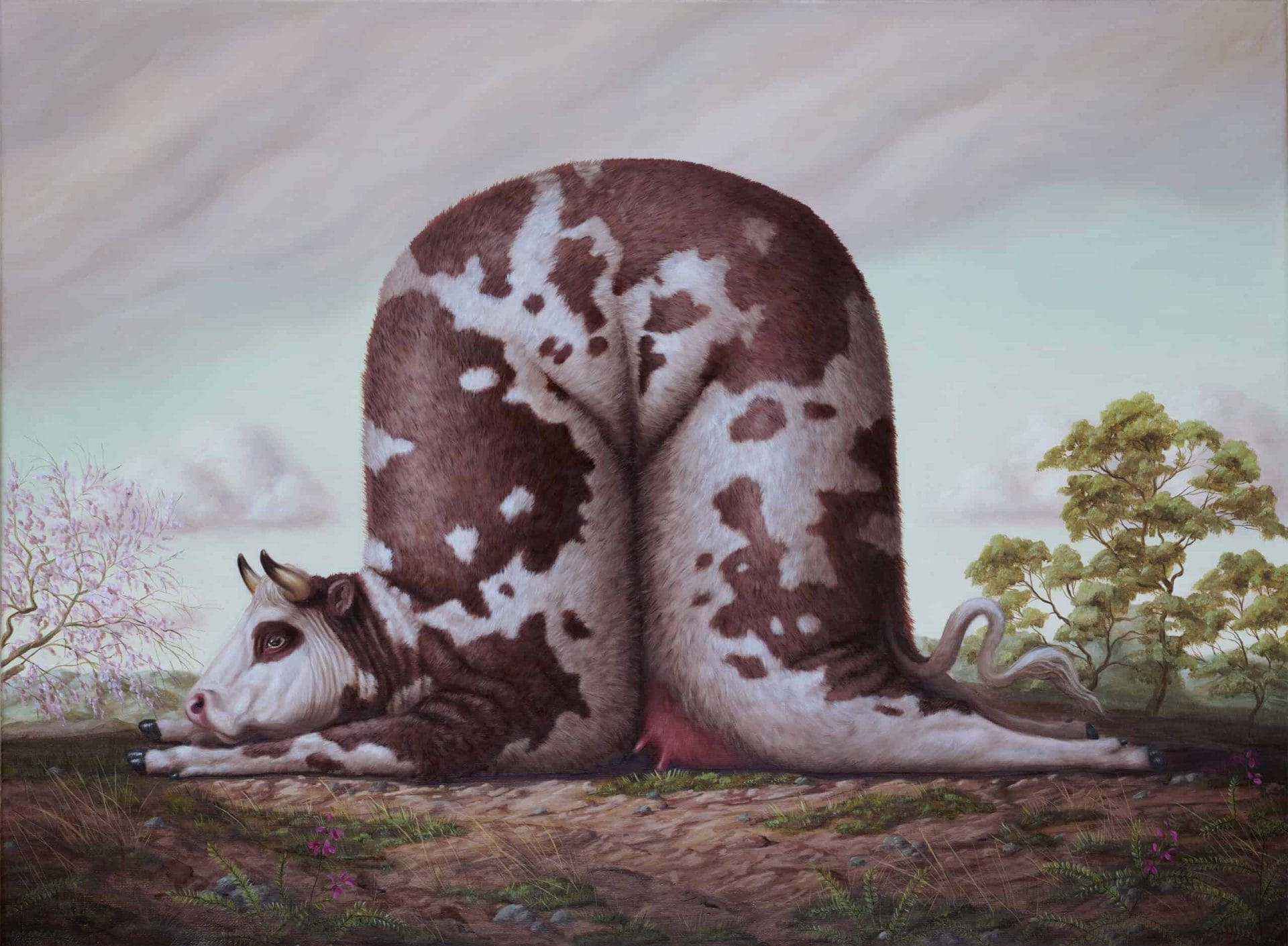 Dieren in absurde poses door Bruno Pontiroli